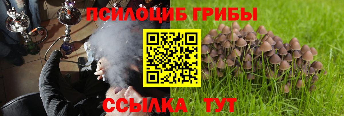 Галлюциногенные грибы MAGIC MUSHROOMS Муром