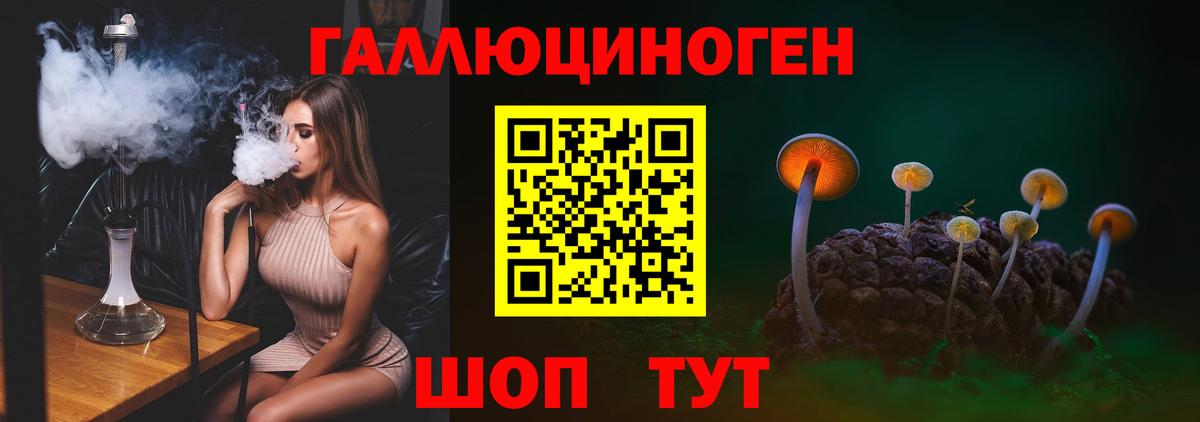 Галлюциногенные грибы Psilocybine cubensis  Псилоцибиновые грибы прущие грибы  Вход с VPN  Муром 